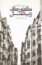 تصویر  گئورگ زيمل