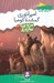 تصویر  امپراتوري گمشده كومبا / سرزمين سحرآميز 41