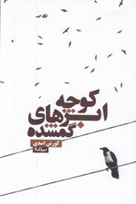 تصویر  كوچه ابرهاي گمشده