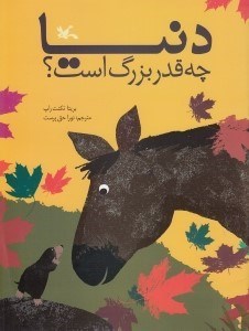 تصویر  دنيا چه قدر بزرگ است