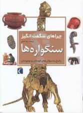 تصویر  سنگواره ها / چراهاي شگفت انگيز