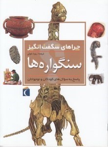 تصویر  سنگواره ها / چراهاي شگفت انگيز