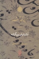 تصویر  در پي آن آشنا 2 (آشنايان بيگانه)
