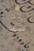 تصویر  در پي آن آشنا 2 (آشنايان بيگانه)