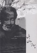 تصویر  پرواز بدون بال