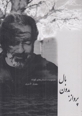 تصویر  پرواز بدون بال
