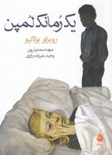 تصویر  يك رمانك لمپن