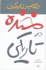تصویر  خنده در تاريكي