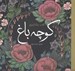 تصویر  كوچه باغ / كتاب رنگ آميزي