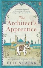 تصویر  Architect's apprentice