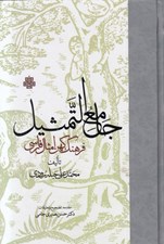 تصویر  جامع التمثيل (فرهنگ كهن امثال فارسي)