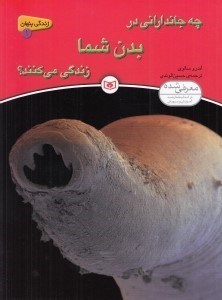 تصویر  چه جانداراني در بدن شما زندگي مي كنند؟ / زندگي پنهان 1
