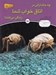 تصویر  چه جانداراني در اتاق خواب شما زندگي مي كنند؟ / زندگي پنهان 3