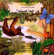 تصویر  اينجا گرم و مرطوب است اينجا باران زياد مي بارد / من كجا هستم؟