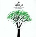 تصویر  درختها
