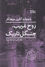 تصویر  روح غريب جنگل تاريك