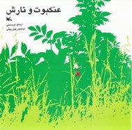 تصویر  عنكبوت و تارش