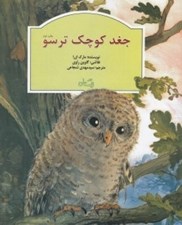 تصویر  جغد كوچك ترسو