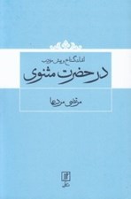 تصویر  اندك گستاخ و بيش مودب در حضرت مثنوي