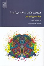 تصویر  هيجانات چگونه ساخته مي شوند؟ / حيات اسرار آميز مغز