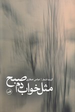 تصویر  مثل خواب دم صبح (گزينه اشعار)