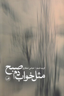 تصویر  مثل خواب دم صبح (گزينه اشعار)