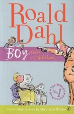 تصویر  Boy Tales Of Childhood