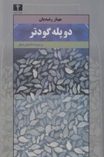 تصویر  دو پله گودتر و سيزده داستان ديگر