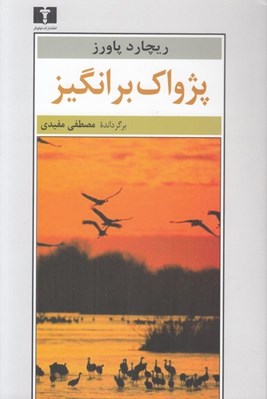 تصویر  پژواك برانگيز
