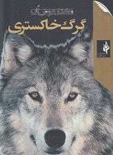 تصویر  گرگ خاكستري