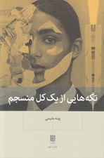 تصویر  تكه هايي از يك كل منسجم #