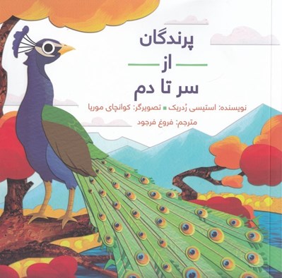 تصویر  پرندگان از سر تا دم