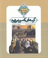 تصویر  قصه هاي نهج البلاغه 3 / گرسنه اي كه سير نمي شود