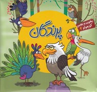 تصویر  پرندگان / بخون و بچين كوچولو 4
