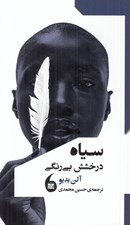 تصویر  سياه (درخشش بي رنگ)