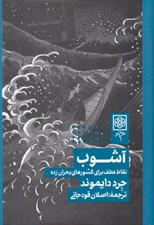 تصویر  آشوب (نقاط عطف براي كشورهاي بحران زده)