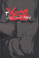 تصویر  نيچه 3