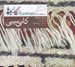 تصویر  كاني سپي (سي دي)