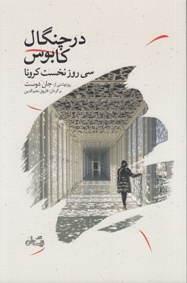 تصویر  در چنگال كابوس (سي روزنخست كرونا)