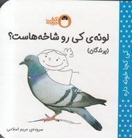 تصویر  لونه ي كي رو شاخه هاست؟ پرندگان / كي كجا خونه داره