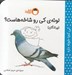 تصویر  لونه ي كي رو شاخه هاست؟ پرندگان / كي كجا خونه داره