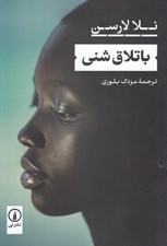 تصویر  باتلاق شني