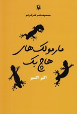 تصویر  مارمولك هاي هاچ بك