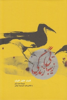 تصویر  زيبايي زندگي