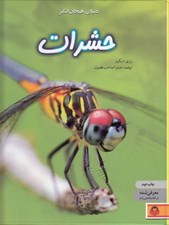 تصویر  دنياي هيجان انگيز حشرات