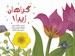 تصویر  گياهان زيبا! / علوم براي كودكان