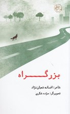تصویر  بزرگراه