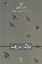 تصویر  پرندگان نيز رفتند
