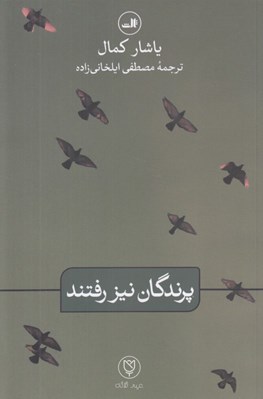 تصویر  پرندگان نيز رفتند