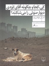 تصویر  كي كجا و چگونه آقاي ايزدي ديوار صوتي را مي شكند؟